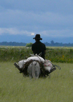 EL LLANO EN LA NIÑEZ