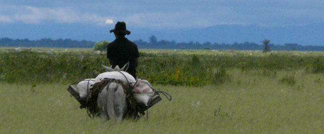 EL LLANO EN LA NIÑEZ