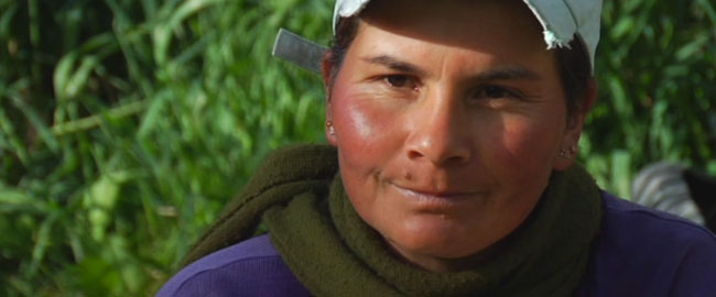 MUJERES DE LA TIERRA